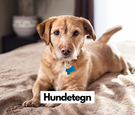 Hundetegn hos shopdogsrus.dk Hundetegn hos shopdogsrus.dk